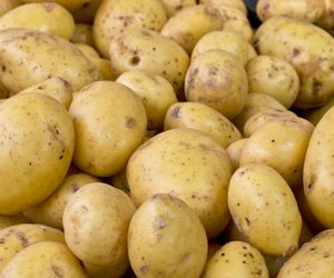 Queen Potatoes - K&K Produce